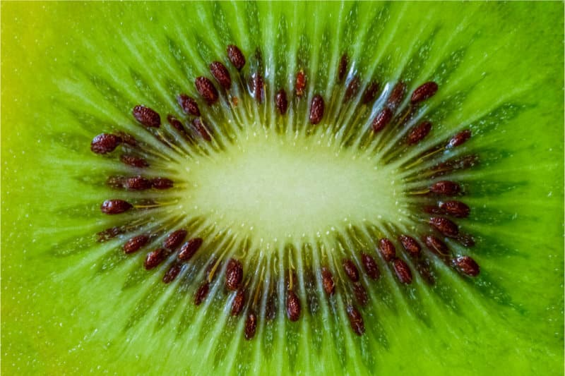 Kiwi Seeds