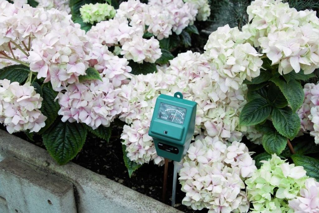 Best Soil Meters for Your Indoor Garden for 2019