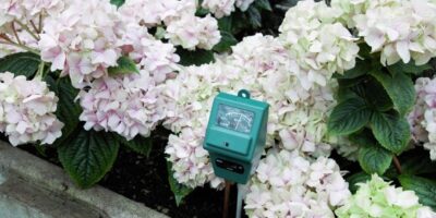 Best Soil Meters for Your Indoor Garden for 2019