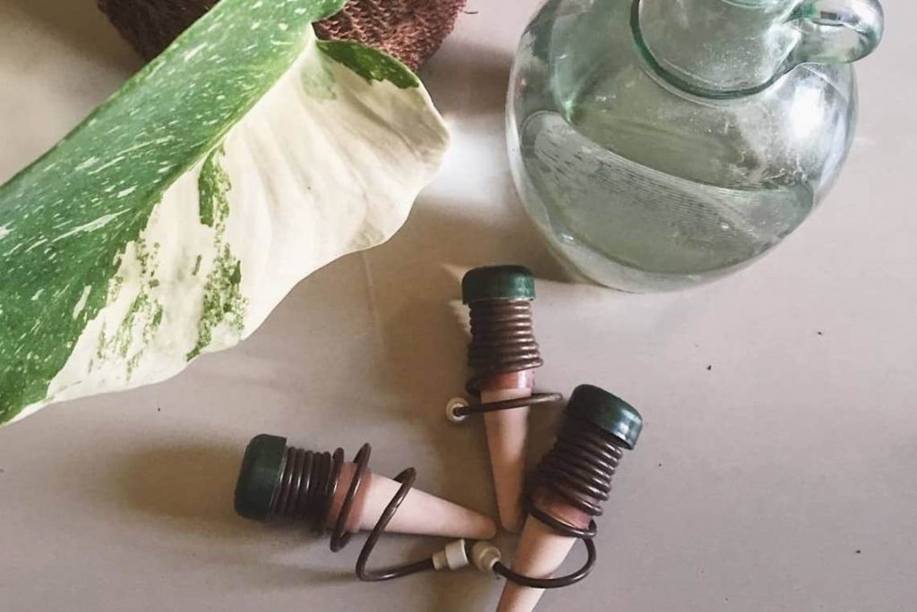 Best Self-Watering Spikes