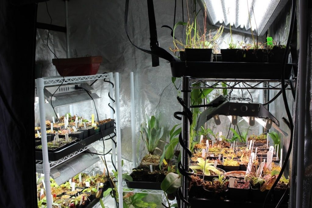 CoolGrows 36"x36"x72" Mylar Hydroponic Grow Tent