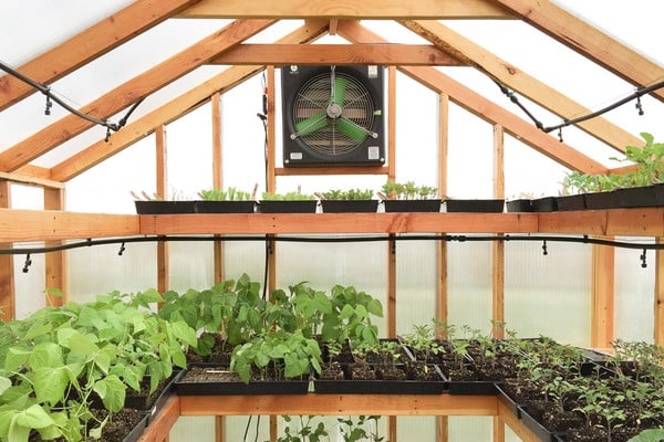 Improve Greenhouse Airflow