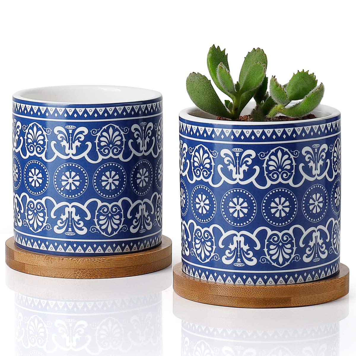 Greenaholics cylindrical pot with a drainage hole