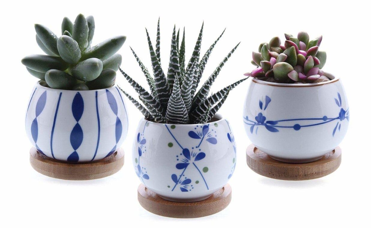 Ceramic succulent pot with bamboo tray