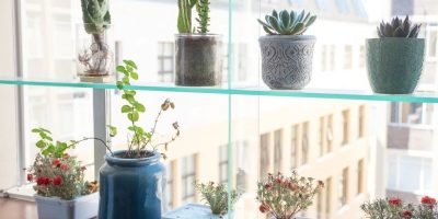 Cutest planters 2019