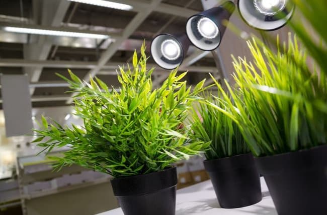 Types of Grow Lights