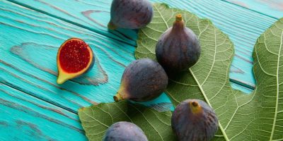 Grow Fig Tree Indoor