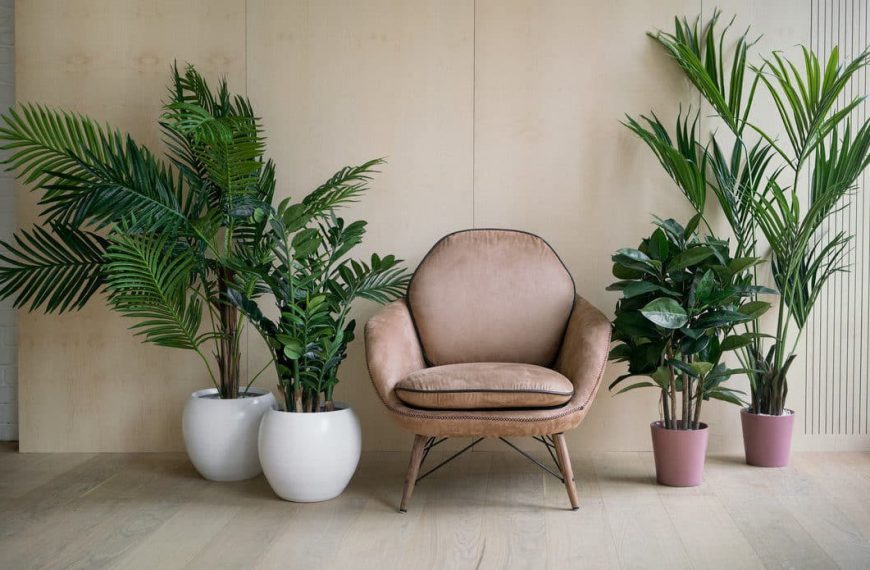 25 Plants That Can Grow Without Sunlight