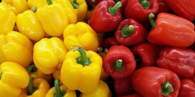 How to Grow Bell Peppers Easily All Year Round