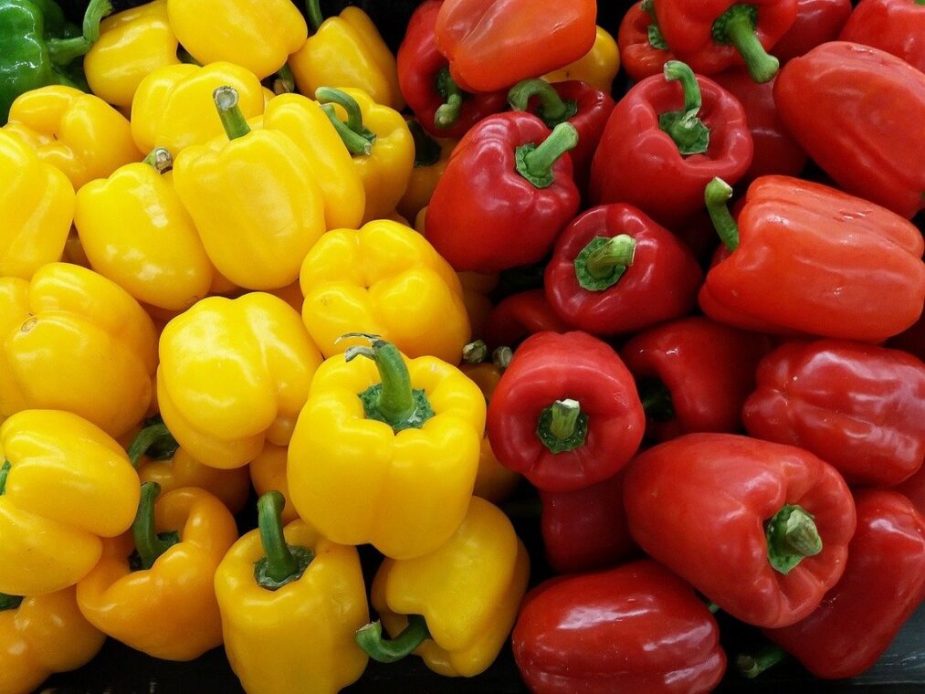 How to Grow Bell Peppers Easily All Year Round