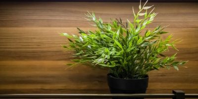 Best Strip Grow Lights For 2022 - Products and Buying Guide