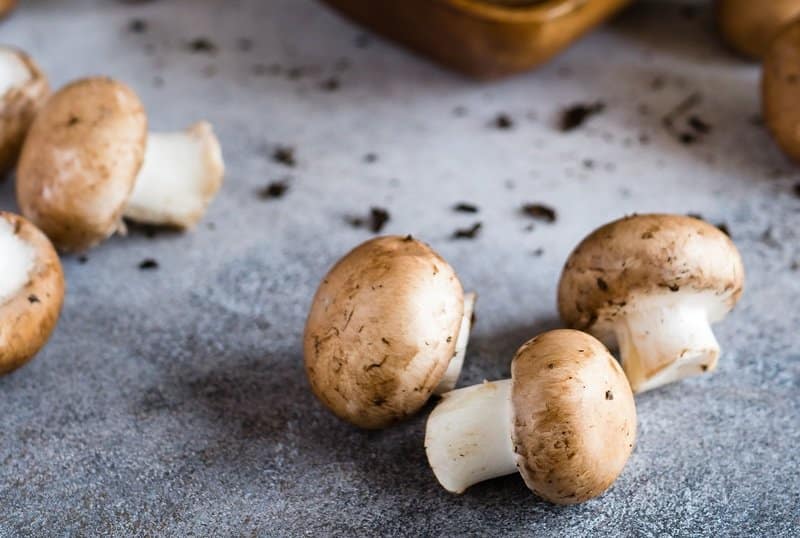 Growing Mushrooms Indoors