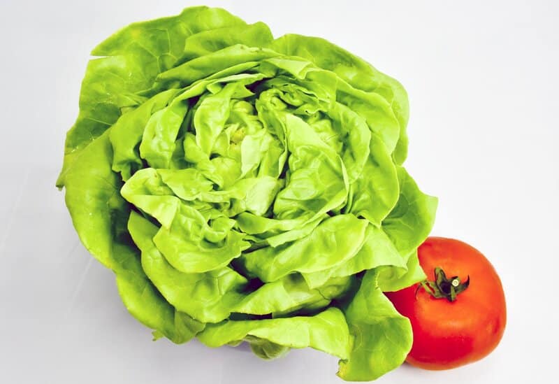 growing butter lettuce at home