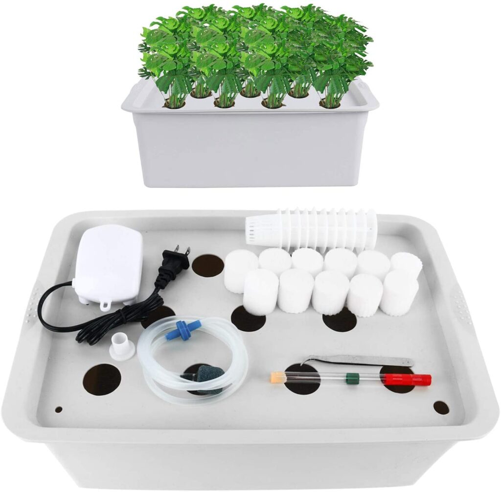 Homend Indoor Hydroponic Grow Kit with Bubble Stone