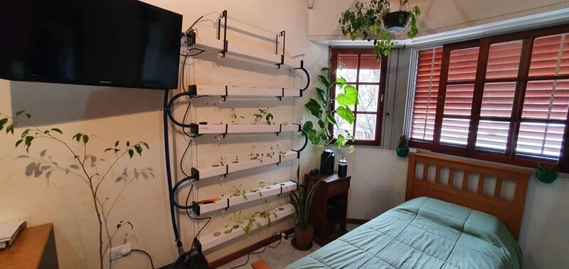 Indoor Hydroponics System