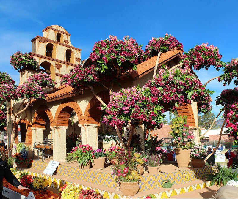  Miracle Gro for Plants