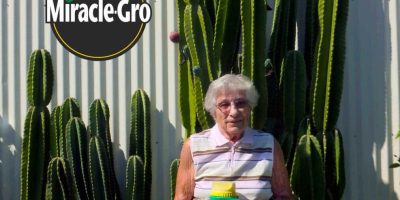 Too Much Miracle-Gro