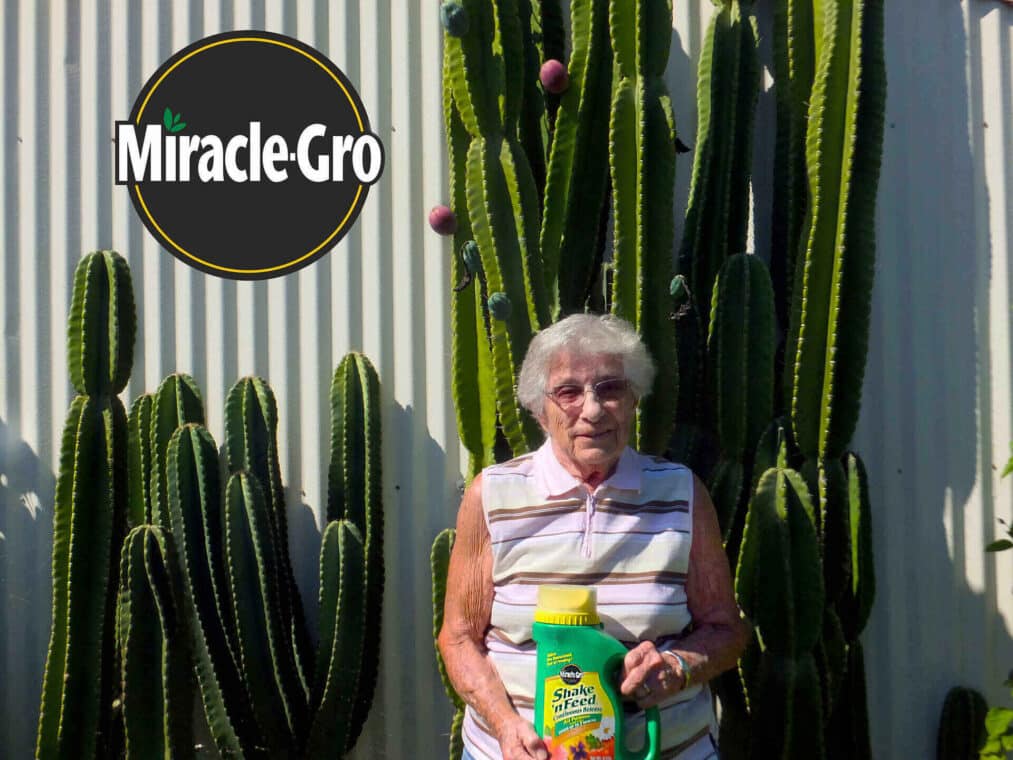 Too Much Miracle-Gro