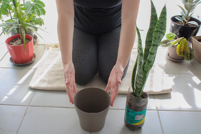 Prepare your new planter