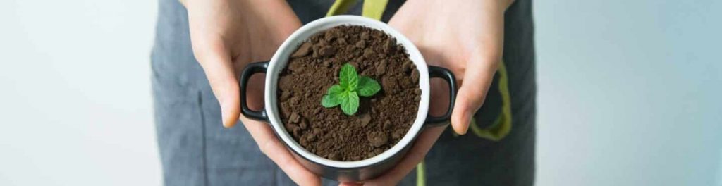 Does Potting Soil Go Bad