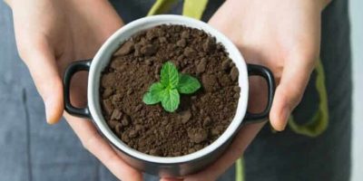 Does Potting Soil Go Bad