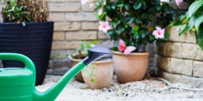 Watering Indoor Plants At Night