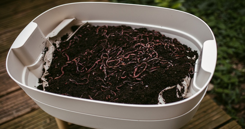 Types of Worms in Potted Plants