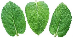 Unprofessional watering and its solution