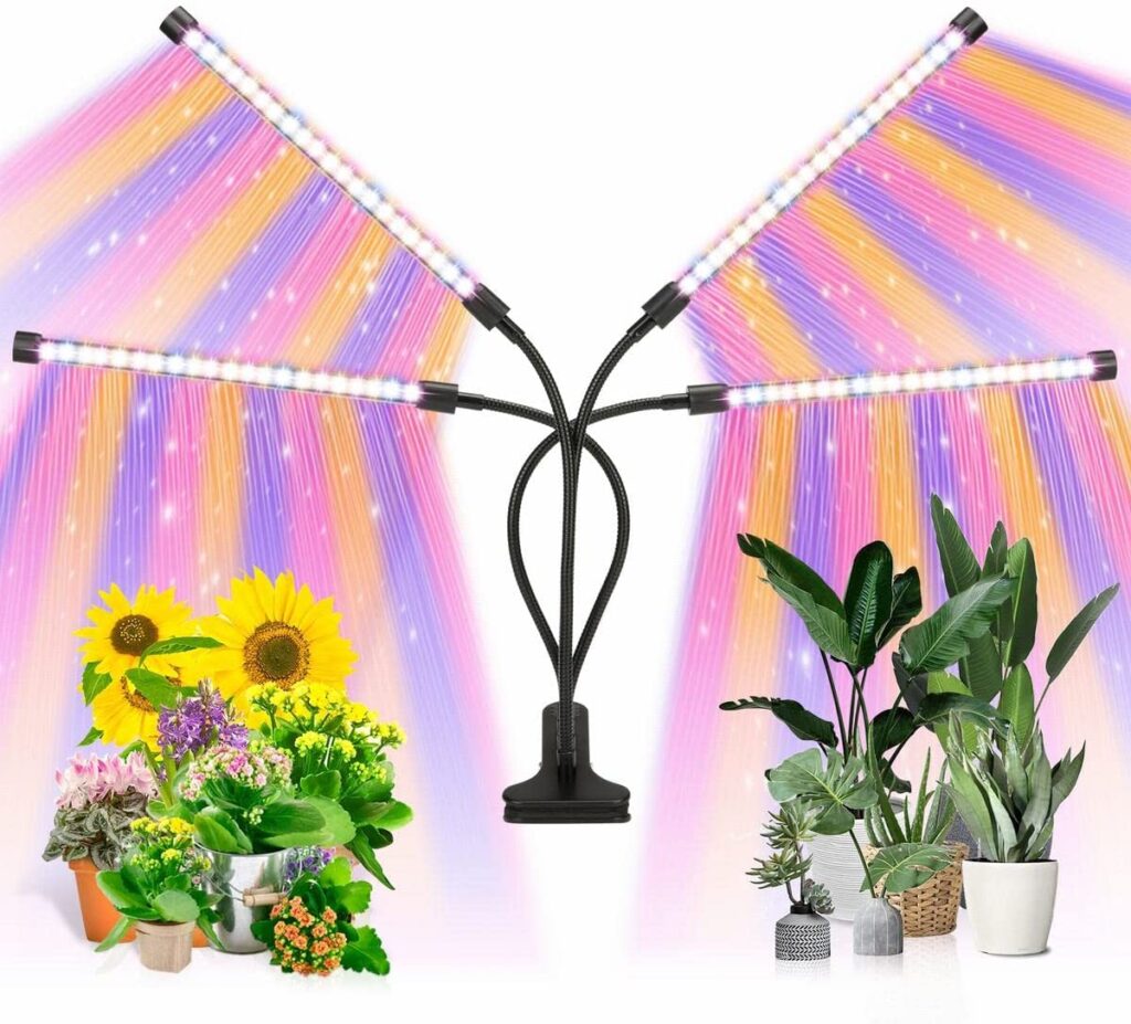 Ankace 60W Quadruple Head