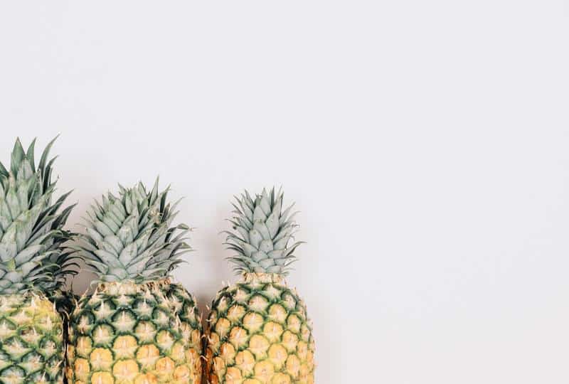 Pineapple Plant Care Guide