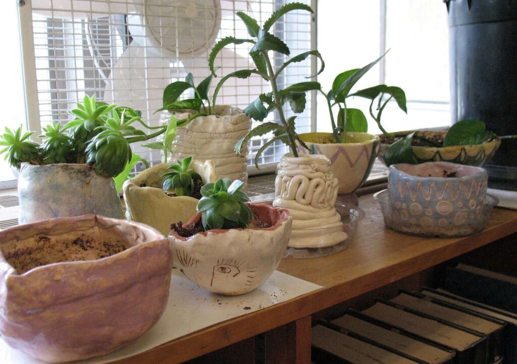 Selecting Pots for Indoor Plants