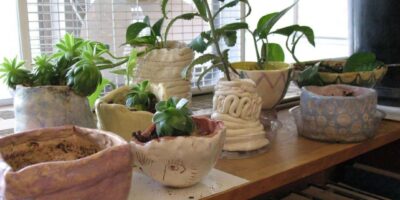 Selecting Pots for Indoor Plants