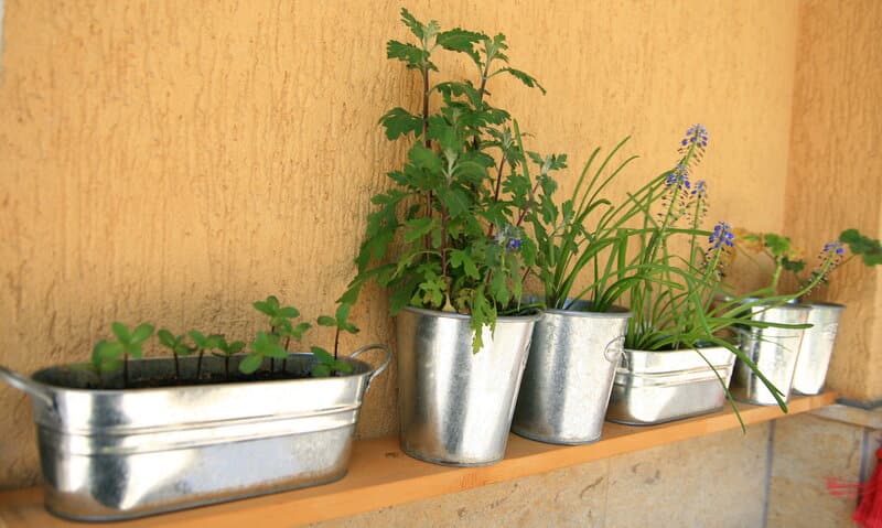 Metal pots for indoor plants