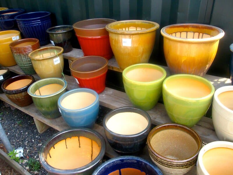 Colorful pots for plants