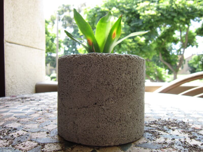Concrete pots for indoor plants