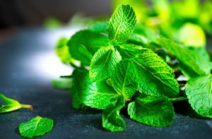 Origins of Mint Leaf