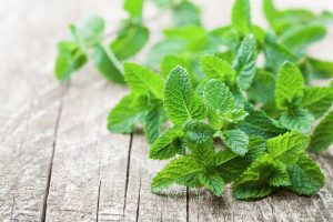 What does mint look like