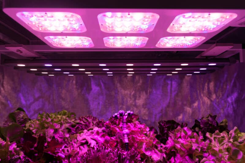 benefits of HPS grow lights