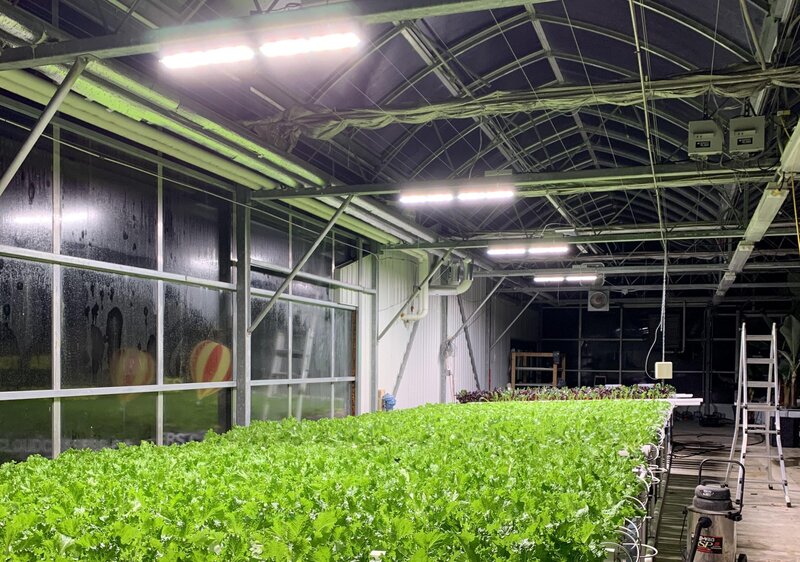 Benefits of LED Lights