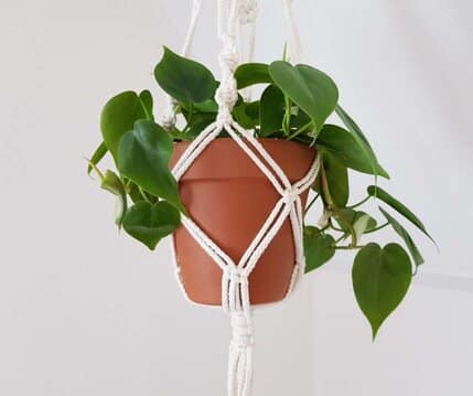 Hanging Pot