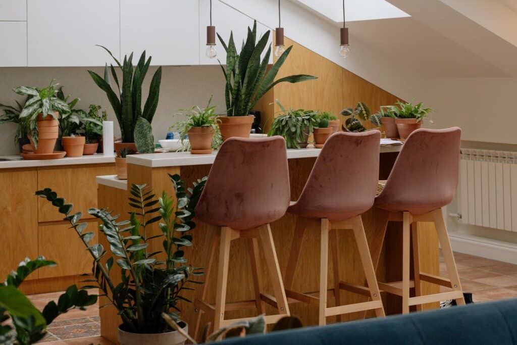 Best Indoor Plants Perfect When you Live in Apartment
