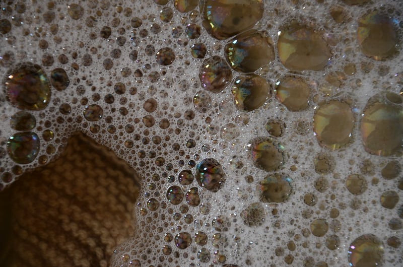 dishwasher soap works for spider mites elimination