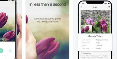 Best Houseplant Care Apps