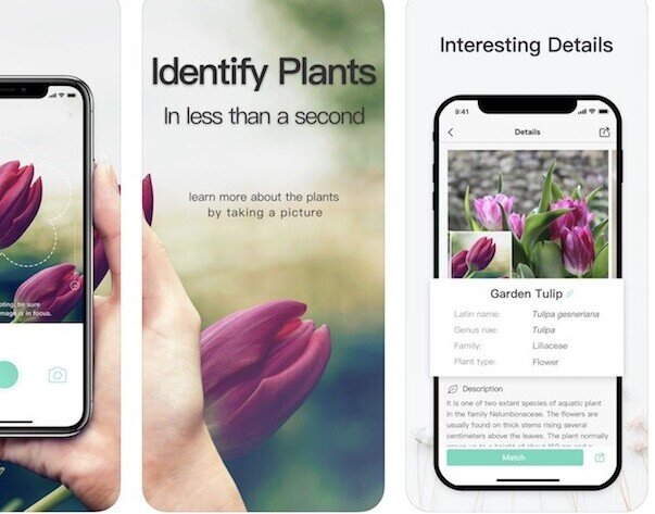 Best Houseplant Care Apps In 2022- 5 Top Free and Premium Apps