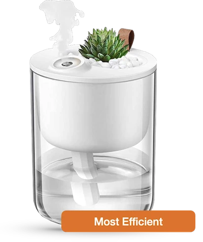 portable usb plant humidifier