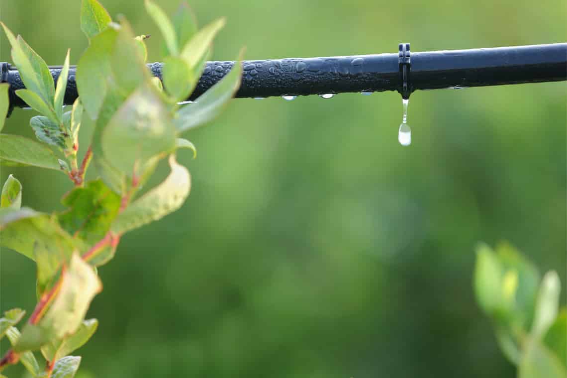 Best Drip Irrigation Kit in 2022 – Reviews and Guide